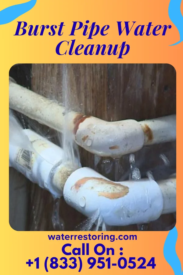 Burst Pipe Water Cleanup in Lafe, AR